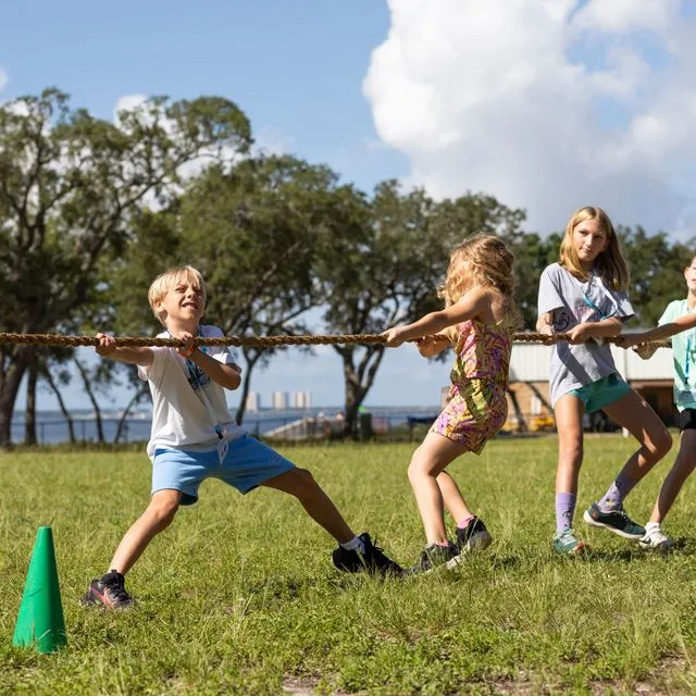 thumbnail for publication: Risk Management for UF/IFAS Extension and Florida 4-H Youth Development Work: Insurance